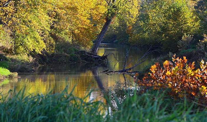 Autumn on the Trace - Jerome Burgess